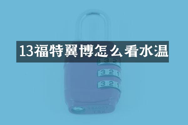 13福特翼博怎么看水温