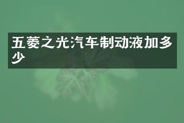 五菱之光汽车制动液加多少