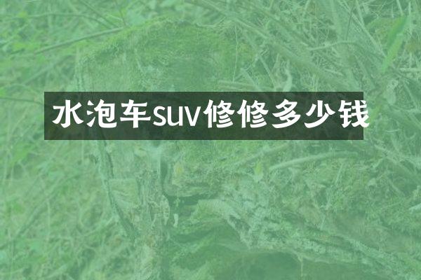 水泡车suv修修多少钱