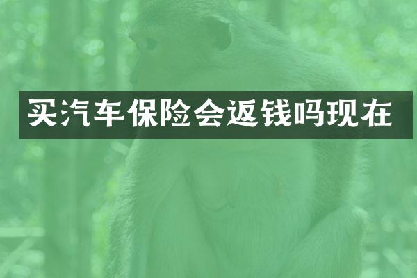 买汽车保险会返钱吗现在