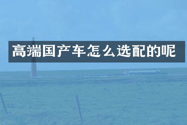 高端国产车怎么选配的呢