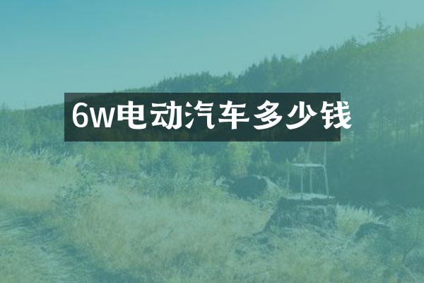 6w电动汽车多少钱