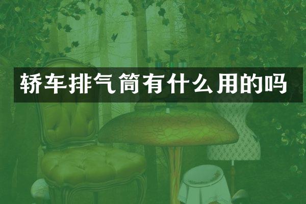 轿车排气筒有什么用的吗