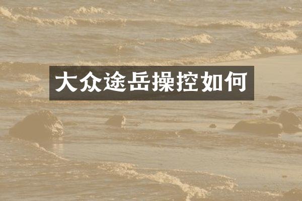 大众途岳操控如何