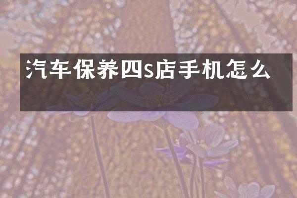 汽车保养四s店手机怎么插