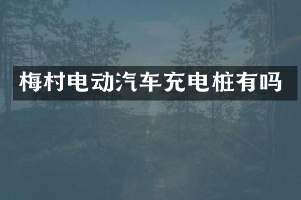 梅村电动汽车充电桩有吗