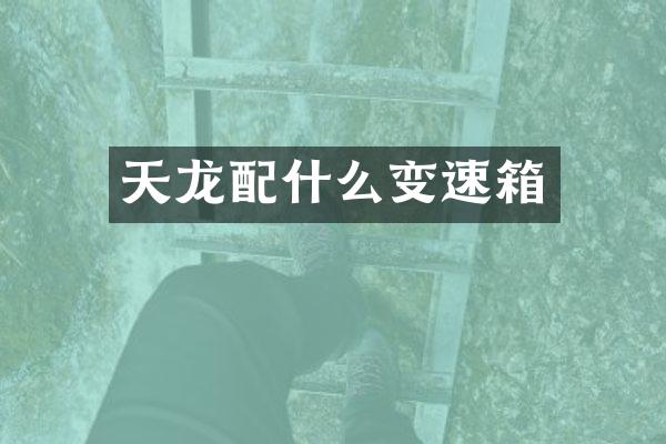 天龙配什么变速箱