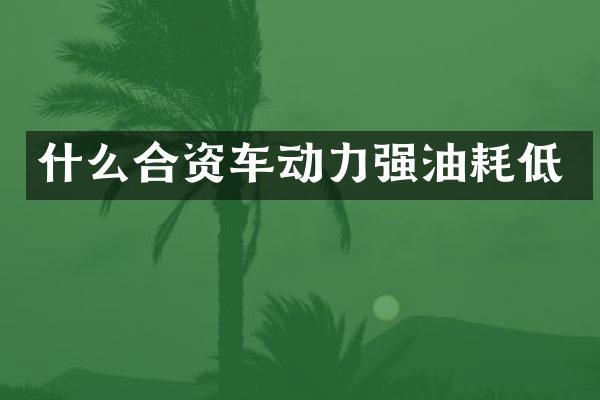 什么合资车动力强油耗低