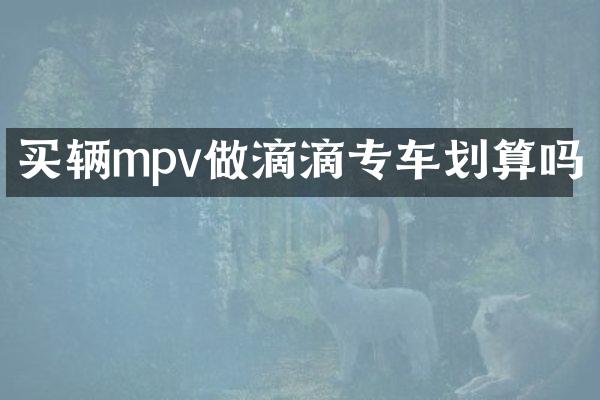买辆mpv做滴滴专车划算吗