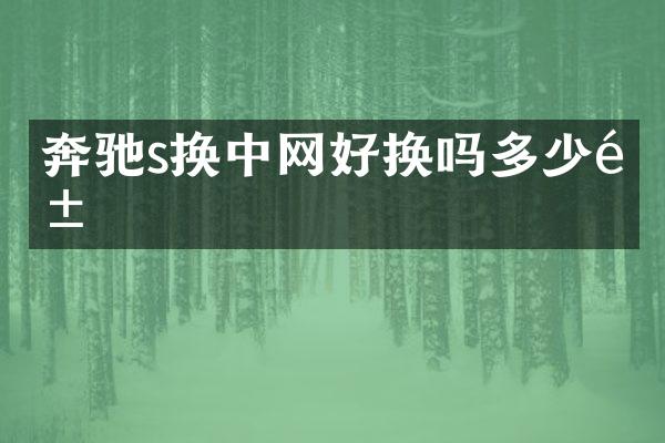 奔驰s换中网好换吗多少钱