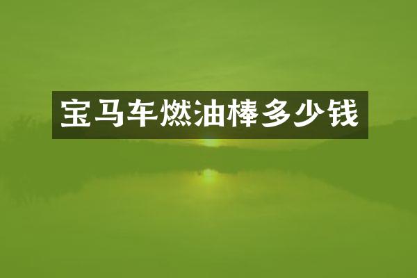 宝马车燃油棒多少钱