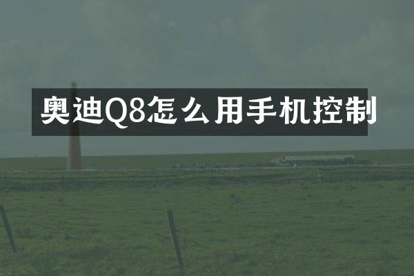 奥迪Q8怎么用手机控制