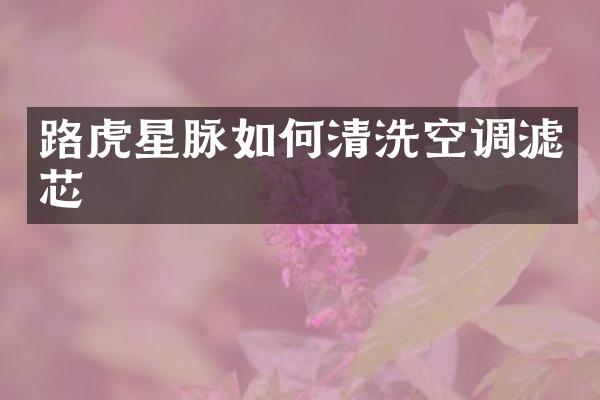 路虎星脉如何清洗空调滤芯