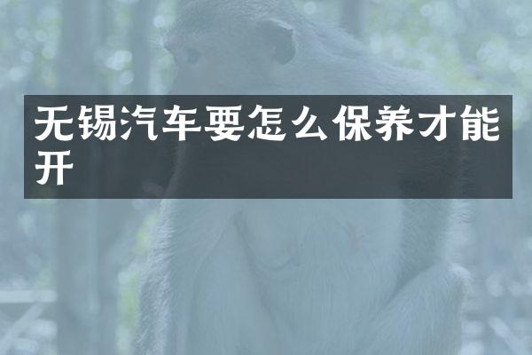 无锡汽车要怎么保养才能开