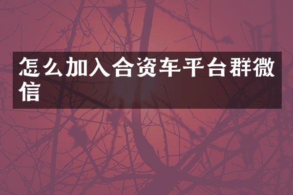 怎么加入合资车平台群微信