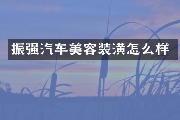 振强汽车美容装潢怎么样