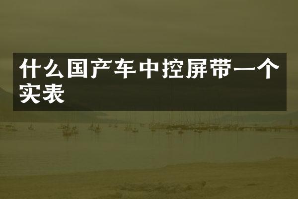 什么国产车中控屏带一个实表
