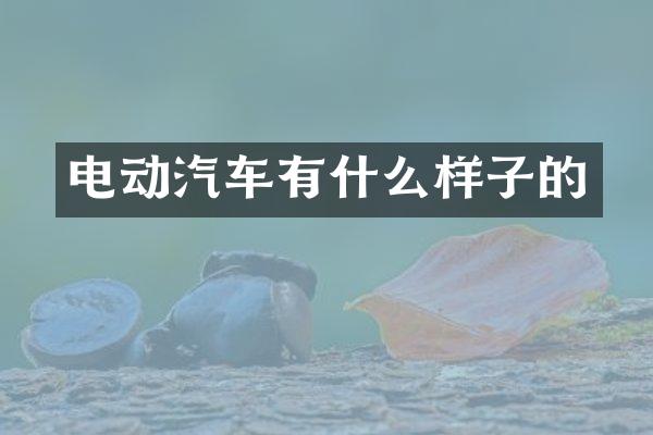 电动汽车有什么样子的