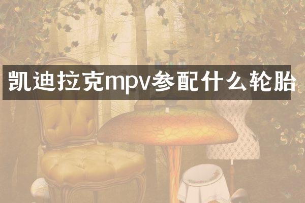 凯迪拉克mpv参配什么轮胎