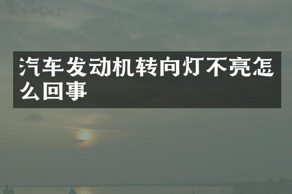 汽车发动机转向灯不亮怎么回事