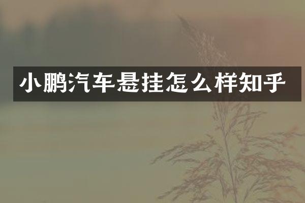 小鹏汽车悬挂怎么样知乎