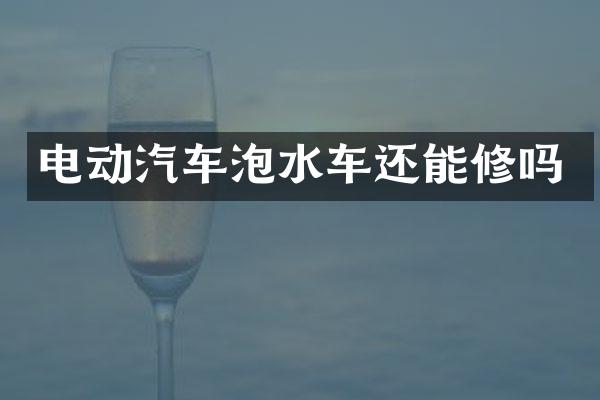 电动汽车泡水车还能修吗