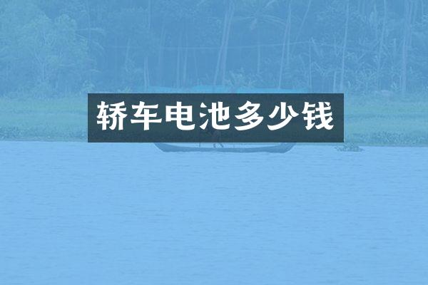 轿车电池多少钱