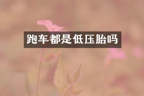 跑车都是低压胎吗