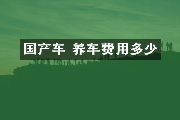 国产车 养车费用多少