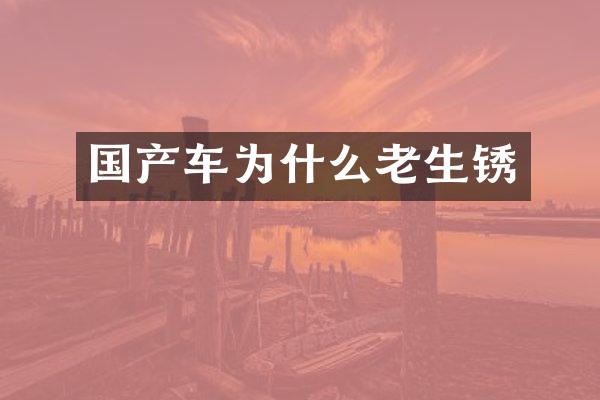 国产车为什么老生锈