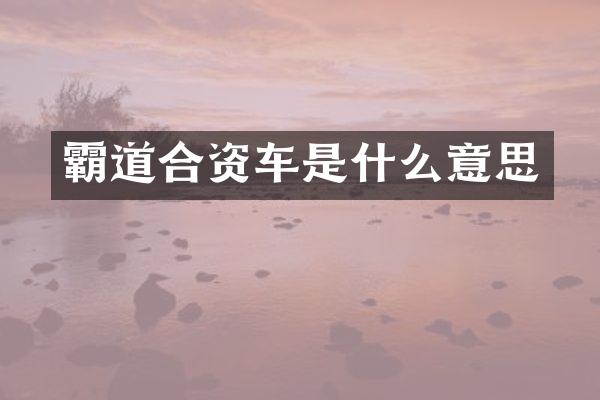 霸道合资车是什么意思