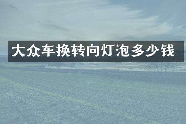 大众车换转向灯泡多少钱