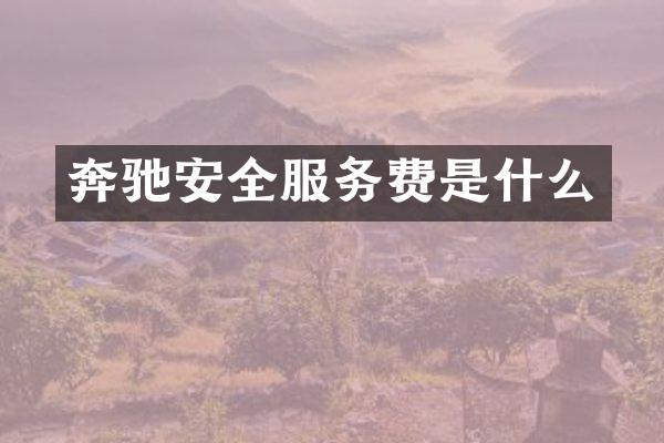 奔驰安全服务费是什么