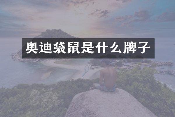 奥迪袋鼠是什么牌子