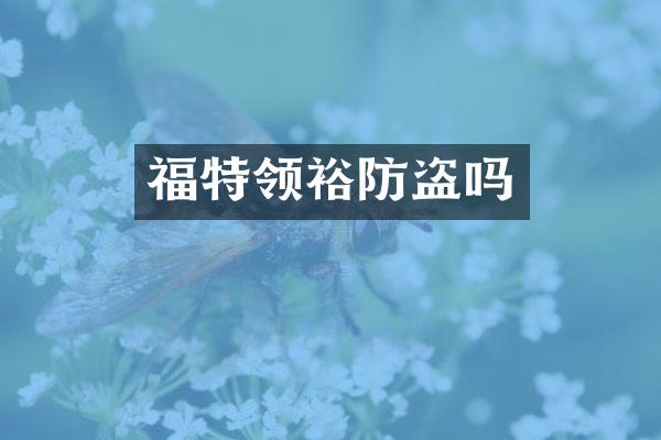 福特领裕防盗吗
