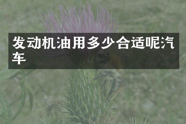 发动机油用多少合适呢汽车
