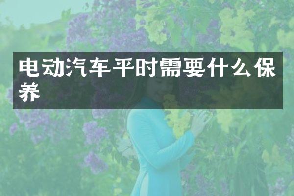 电动汽车平时需要什么保养