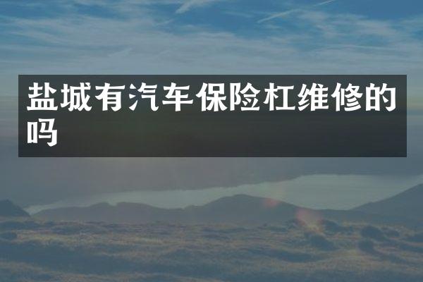 盐城有汽车保险杠维修的吗