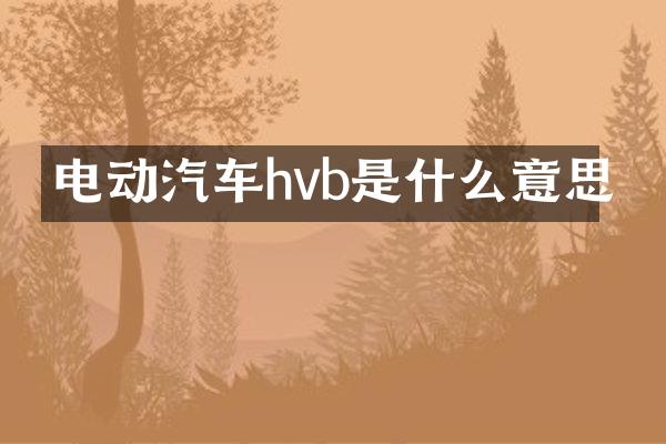 电动汽车hvb是什么意思