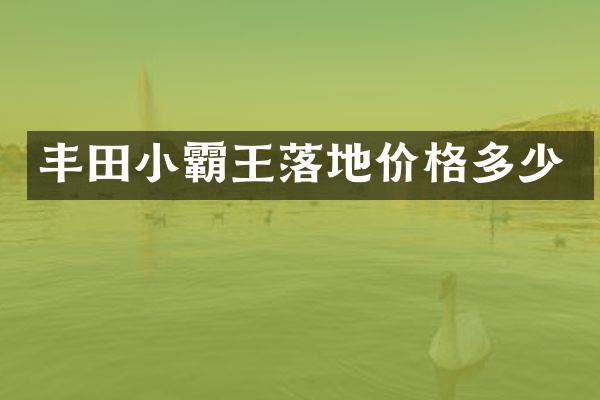 丰田小霸王落地价格多少