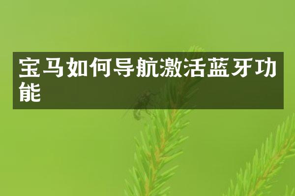 宝马如何导航激活蓝牙功能
