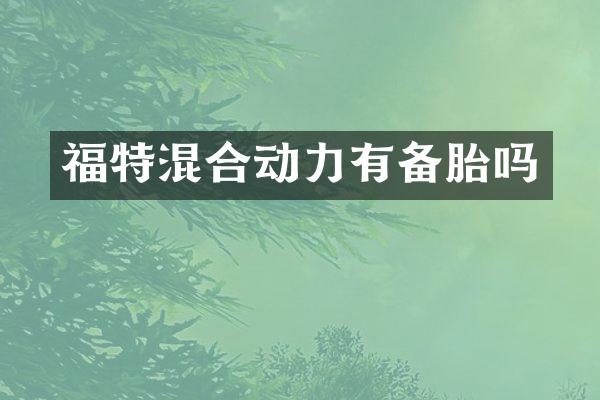 福特混合动力有备胎吗