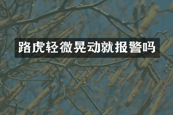 路虎轻微晃动就报警吗