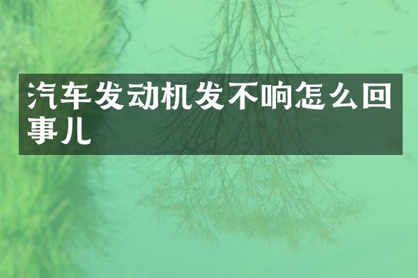汽车发动机发不响怎么回事儿