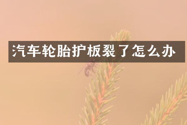 汽车轮胎护板裂了怎么办