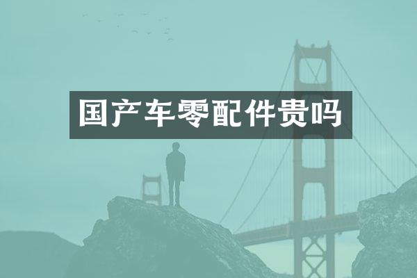 国产车零配件贵吗