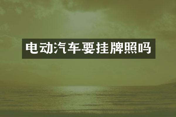 电动汽车要挂牌照吗