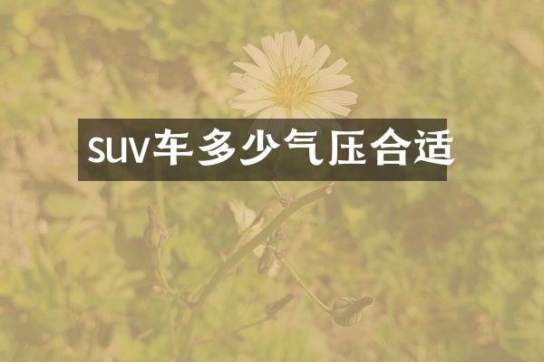 suv车多少气压合适