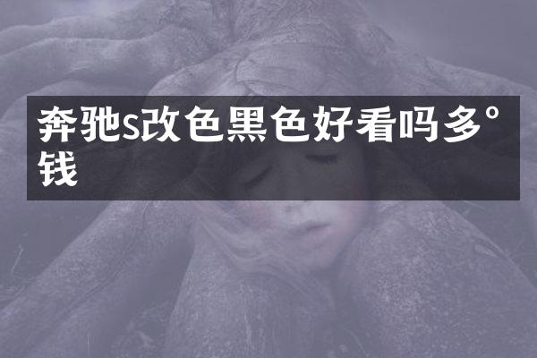 奔驰s改色黑色好看吗多少钱