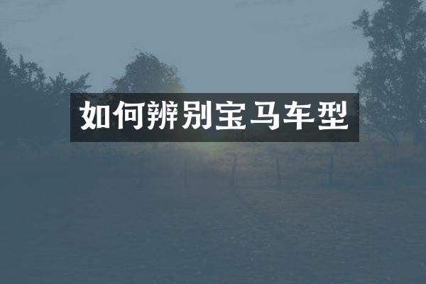 如何辨别宝马车型